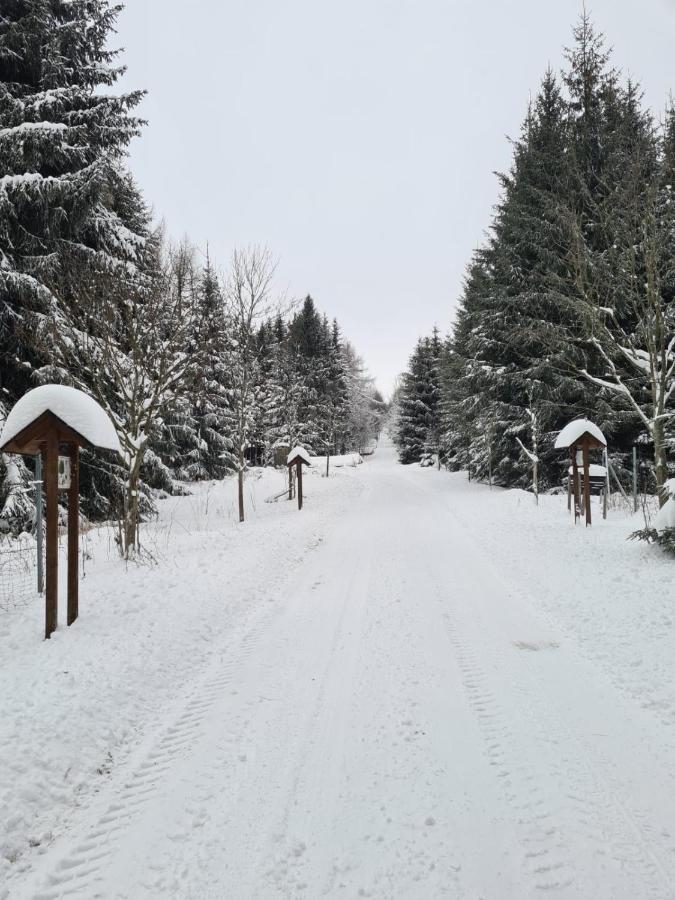 Hammerblick Oberwiesenthal Eksteriør bilde